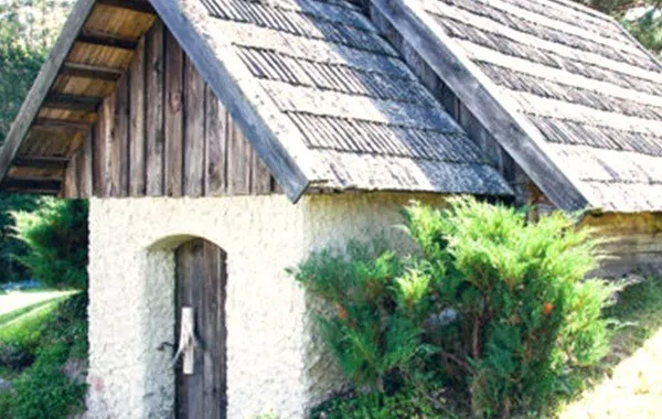 Keldripealne majutus